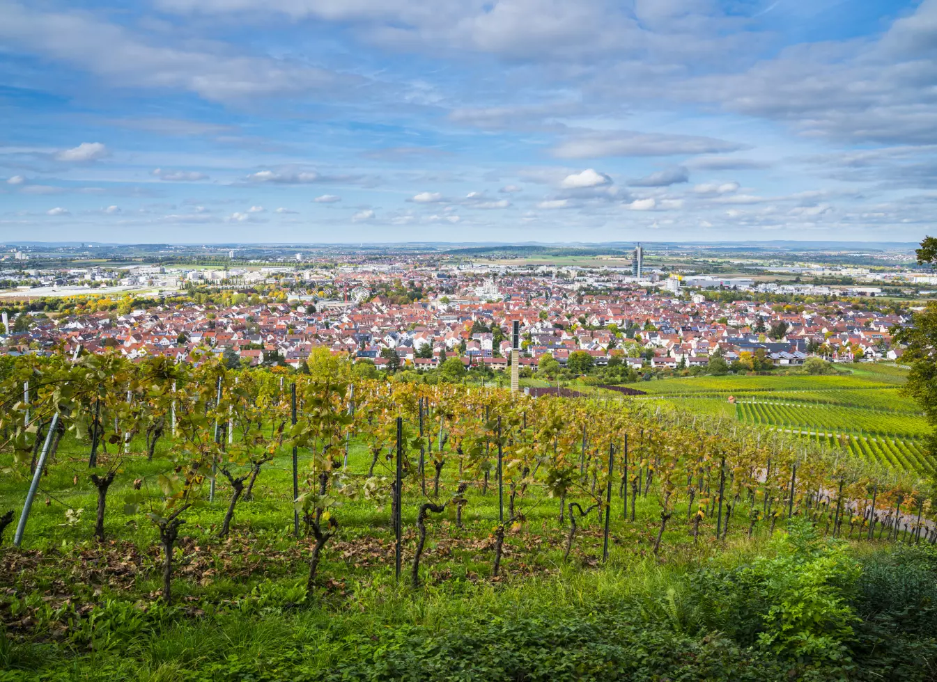 Standort der WISAG in Fellbach