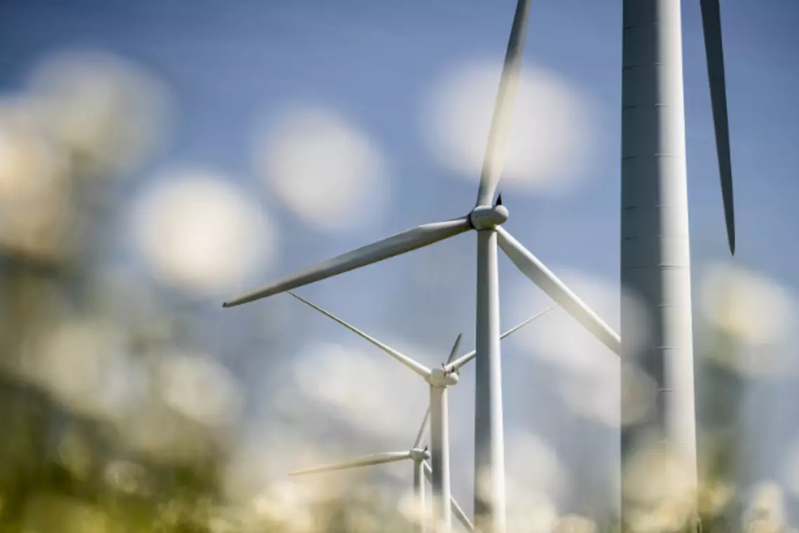 Eine Gruppe Windräder mit Blumen im Vordergrund